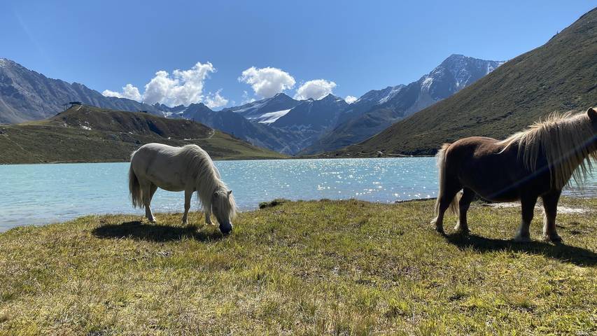 Ferienwohnung für 6 Personen, mit Ausblick und Garten sowie Sauna, mit Haustier im Pitztal - 3