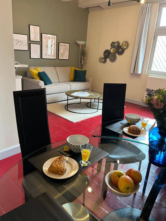 Appartement entier, Fleur de Coton 6 pers à 20 minutes de Beauval in Montrichard Val de Cher, Région de Blois