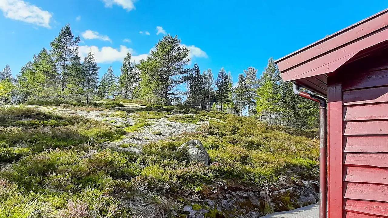 Ferienhaus für 8 Personen (110 m²) in Tjørhom in Sirdal 