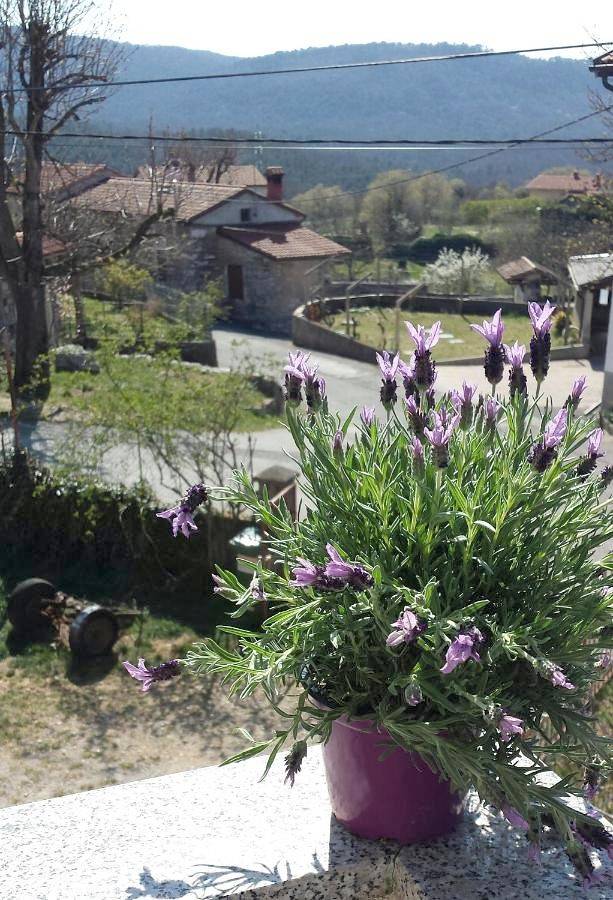 Ferienhaus für 6 Personen, mit Balkon und Terrasse sowie Garten und Ausblick