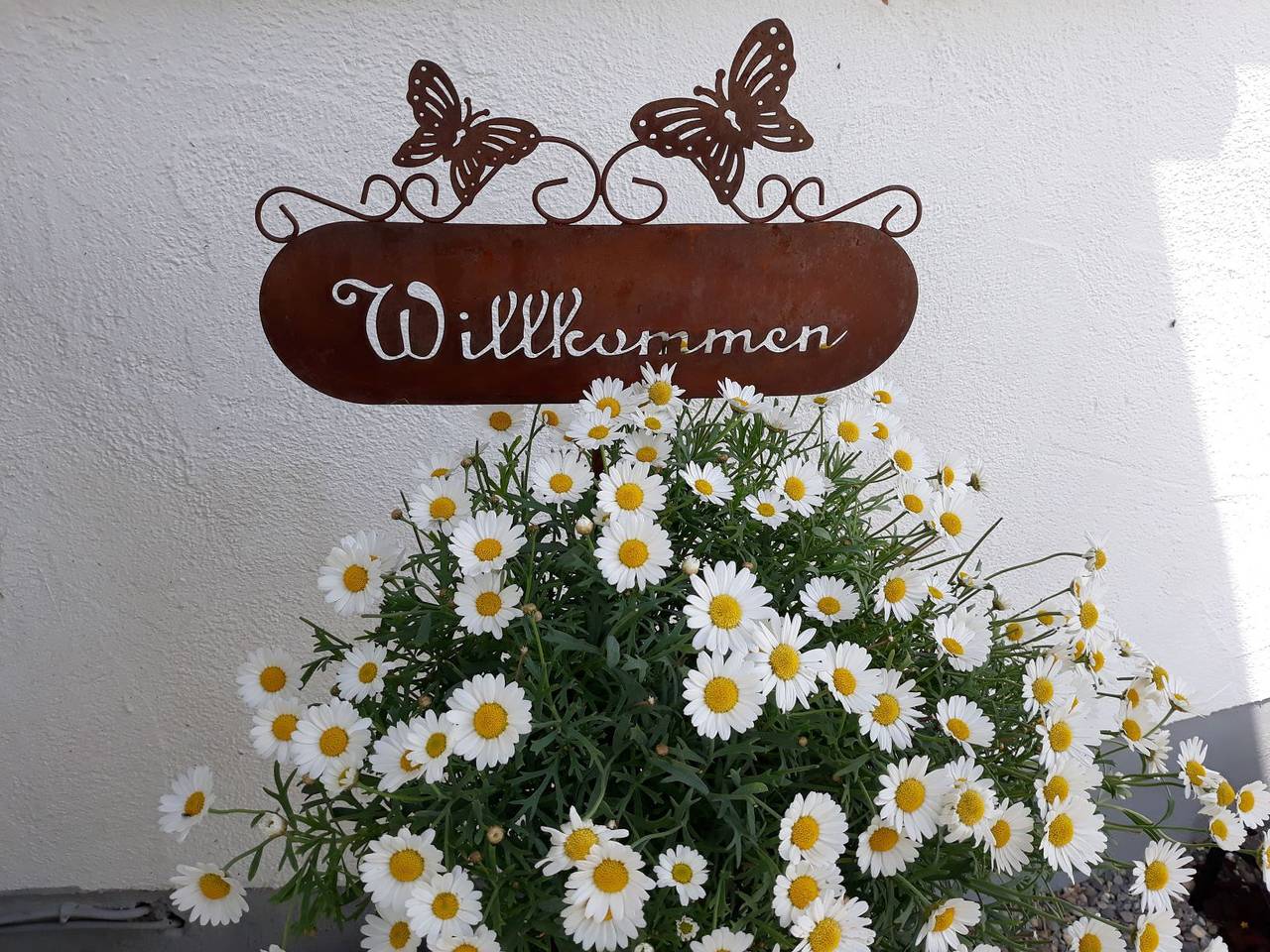 Bio-Ferienhof Baur - Ferienwohnung Hennastall, 1 Schlafzimmer, max. 3 Personen in Weißensberg, Bayerisch Schwaben