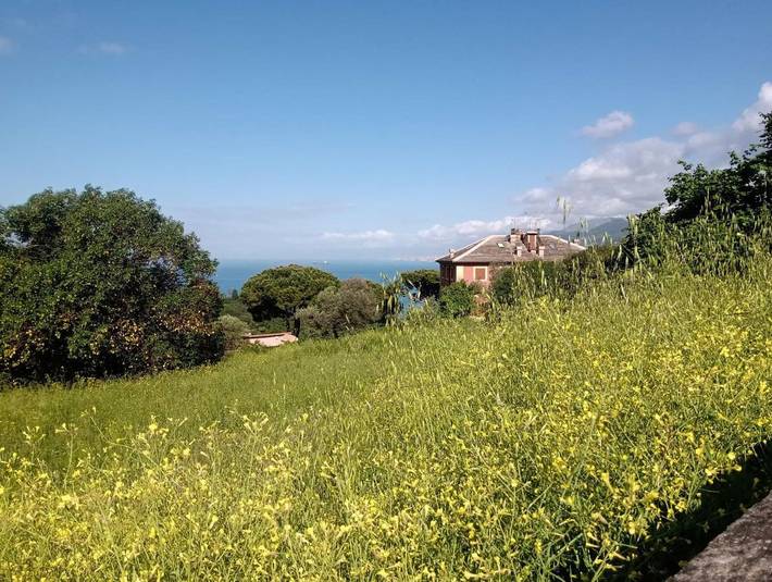 Chambre d’hôte pour 2 personnes, avec vue et jardin à Camogli - 4