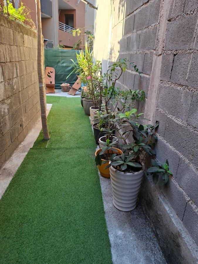 Gîte pour 2 personnes, avec terrasse et jardin à Pamandzi - 3