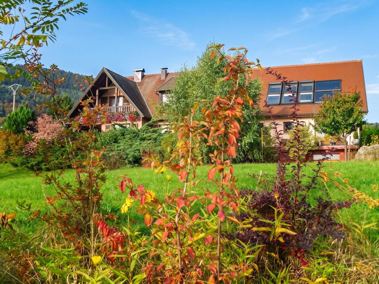 Appartement entier, Appartement charmant à Thannenkirch avec vue montagne in Thannenkirch, Parc naturel régional des Ballons des Vosges