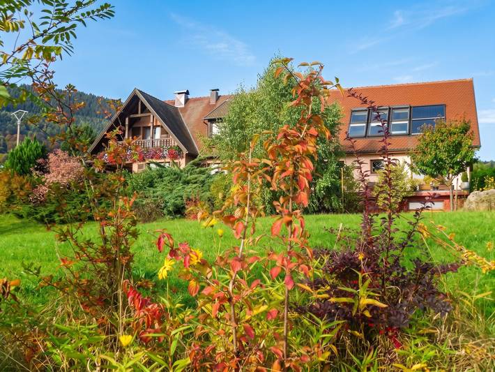Appartement de vacances pour 6 personnes, avec Balcon/Terrasse et Jardin à Thannenkirch