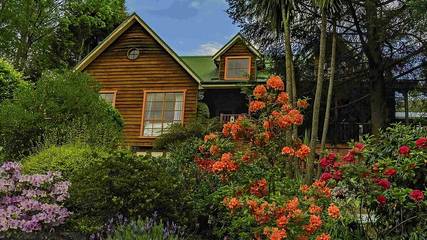 Bed And Breakfast for 2 People in Blackheath (NSW), Blue Mountains, Photo 1