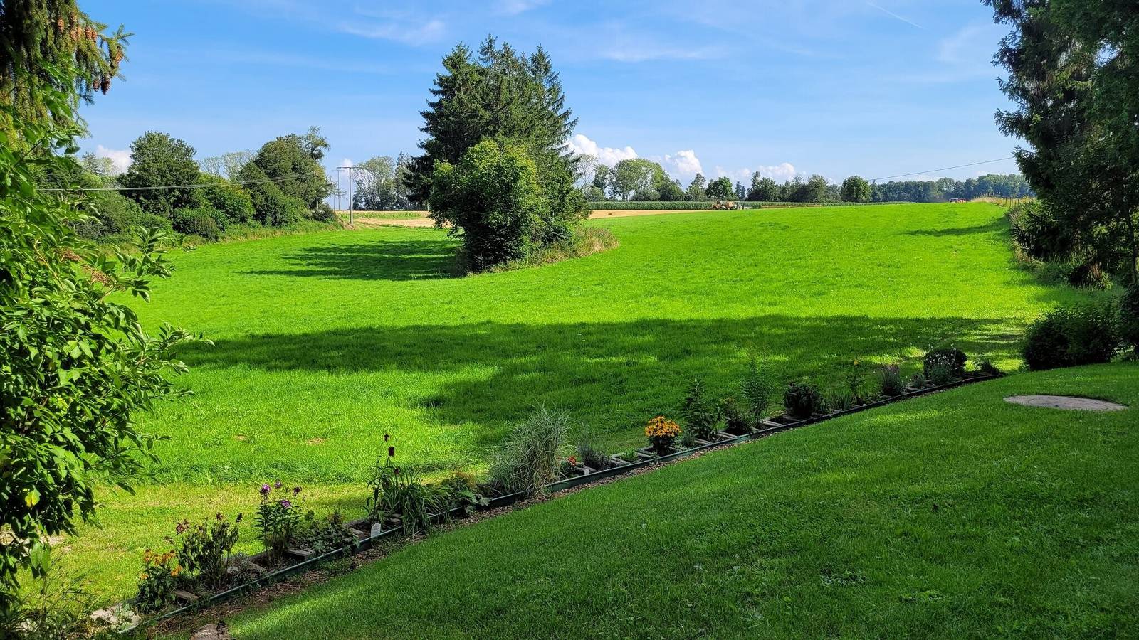 Ferienhaus 'Bienenhaus' mit privater Terrasse, privatem Garten und Wlan in Dornhan, Mittlerer Schwarzwald