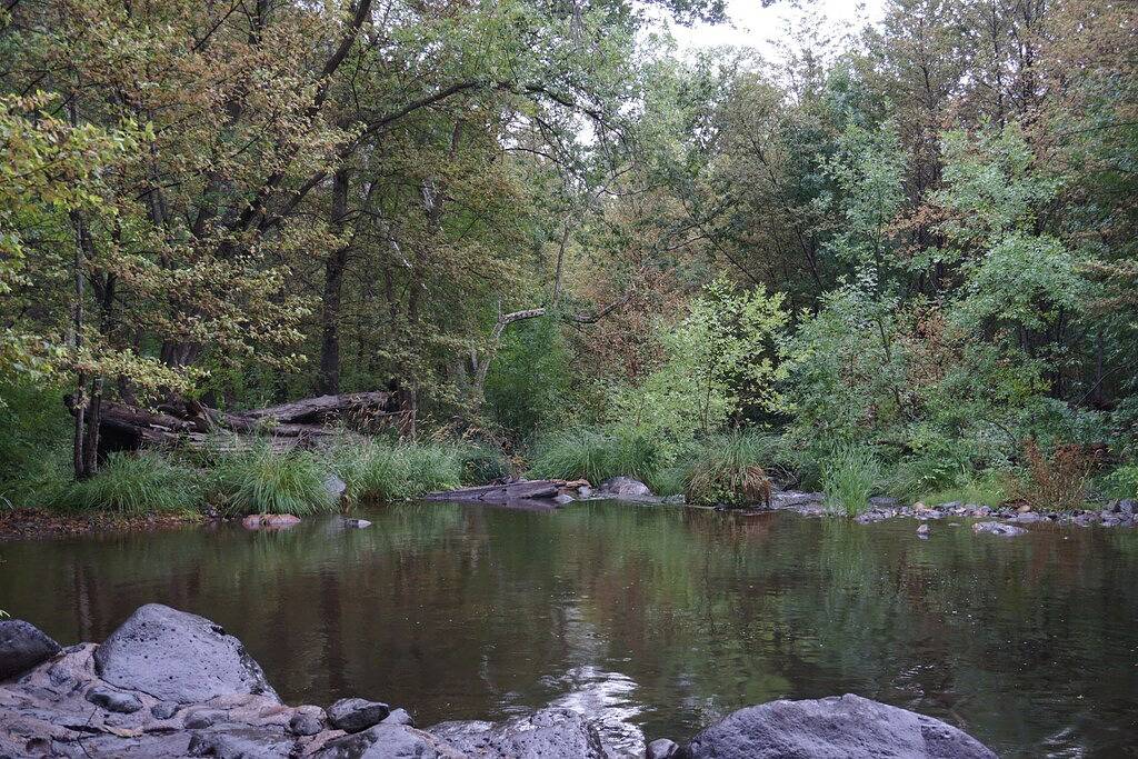 Atemberaubende Aussichten in charmanter Blockhütte Sedona / in der Nähe der Innenstadt in Oak Creek Canyon