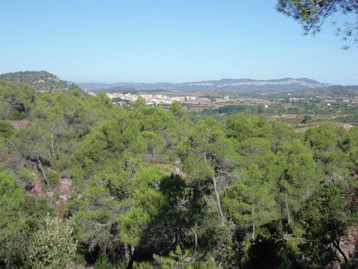 Casa rural para 6 personas, con terraza y vistas en Priorat - 3