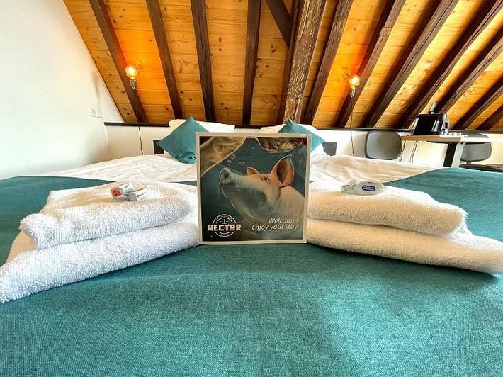 Hôtel pour 2 personnes, avec jardin dans Zierikzee - 3