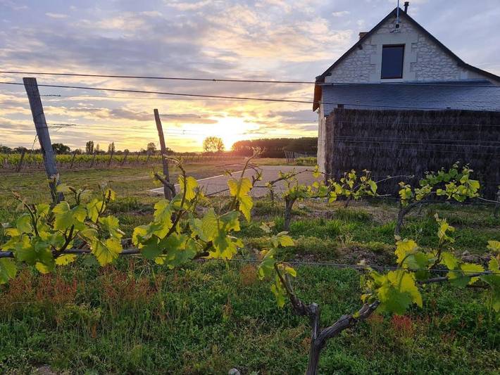 Location de vacances pour 4 personnes, avec terrasse et jacuzzi à Crouzilles
