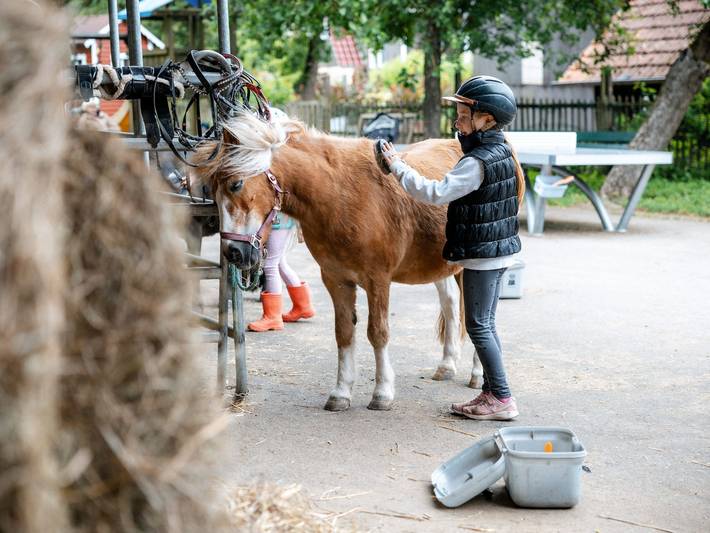 Bauernhof für 6 Personen, mit Pool und Garten im Weserbergland - 2