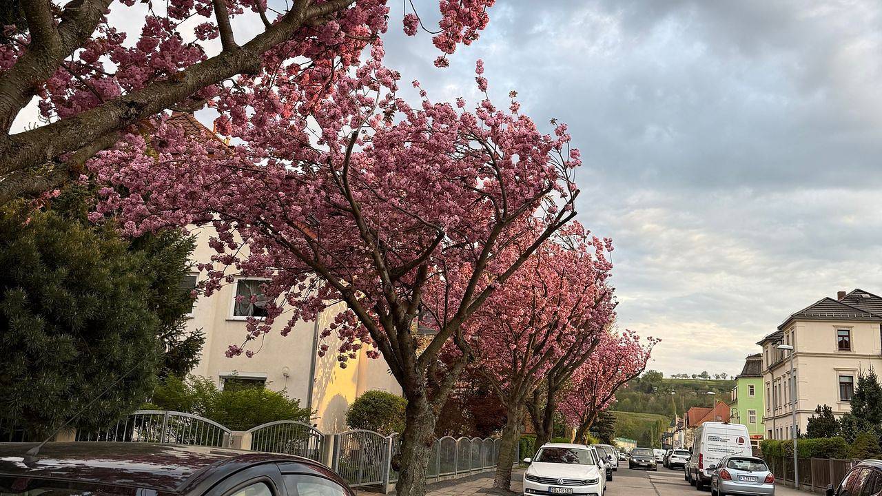 Ferienhaus für 6 Personen in Cossebaude/Mobschatz/Oberwartha, Dresden