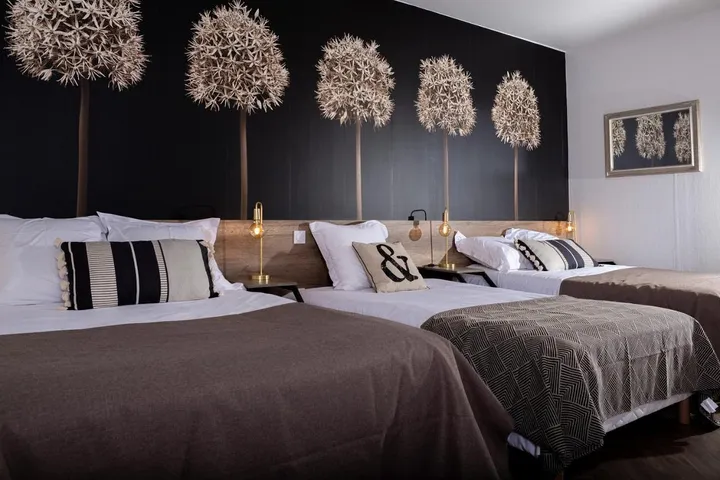 Hotel für 1 Personen, mit Haustier - 1
