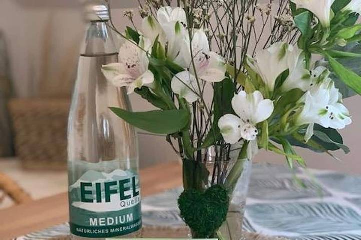 Vacation rental for 2 people, with sauna and balcony as well as hot tub in Rhineland