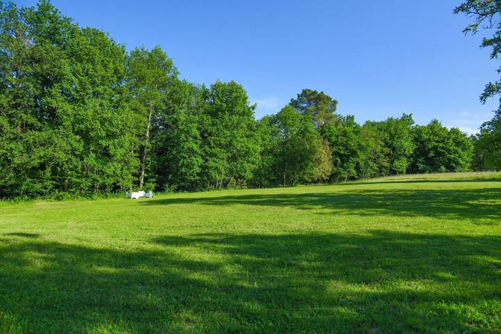 Location de vacances pour 6 personnes, avec terrasse ainsi que jardin et piscine à Castels - 4