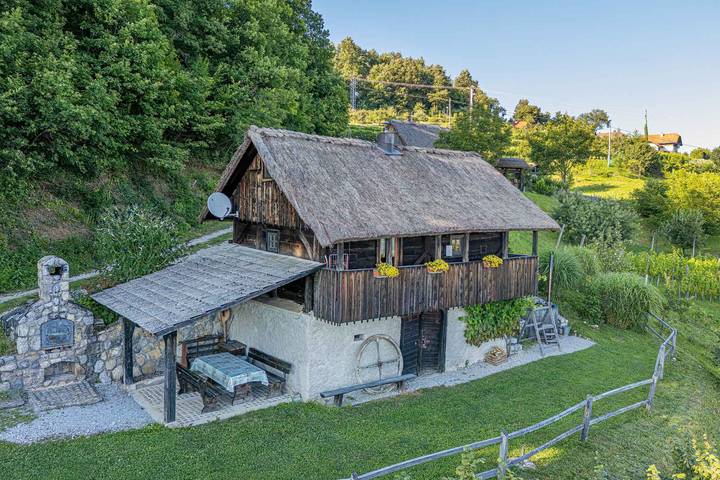 Location de vacances pour 4 personnes, avec jardin et sauna dans Novo mesto