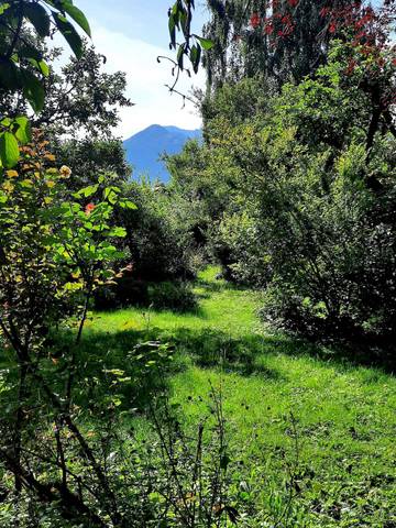 Ferienhaus für 8 Personen in Grassau, Bayerische Alpen, Bild 4
