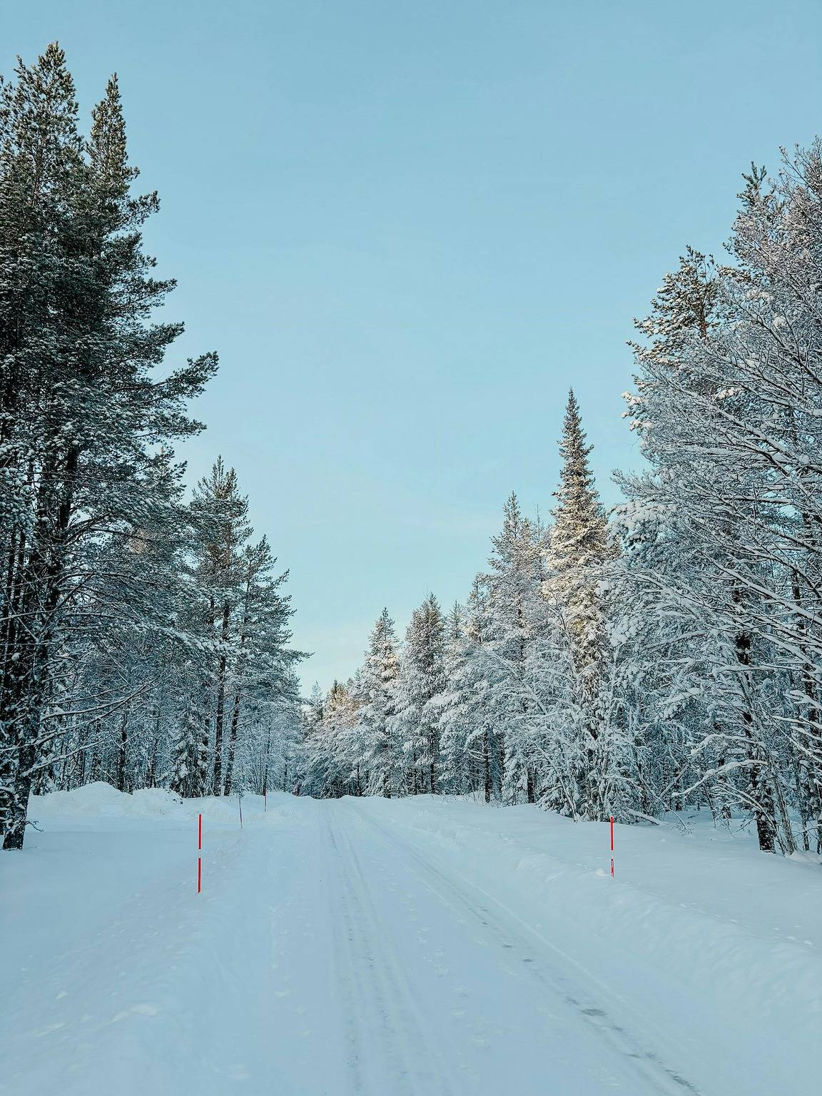Geräumige Berghütte zwischen Bergbirken in Vemdalen in Vemdalen, Härjedalen