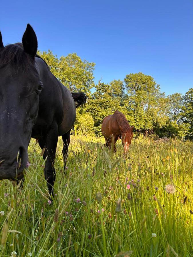 Location de vacances pour 10 personnes, avec vue et jardin dans Bourguenolles - 2