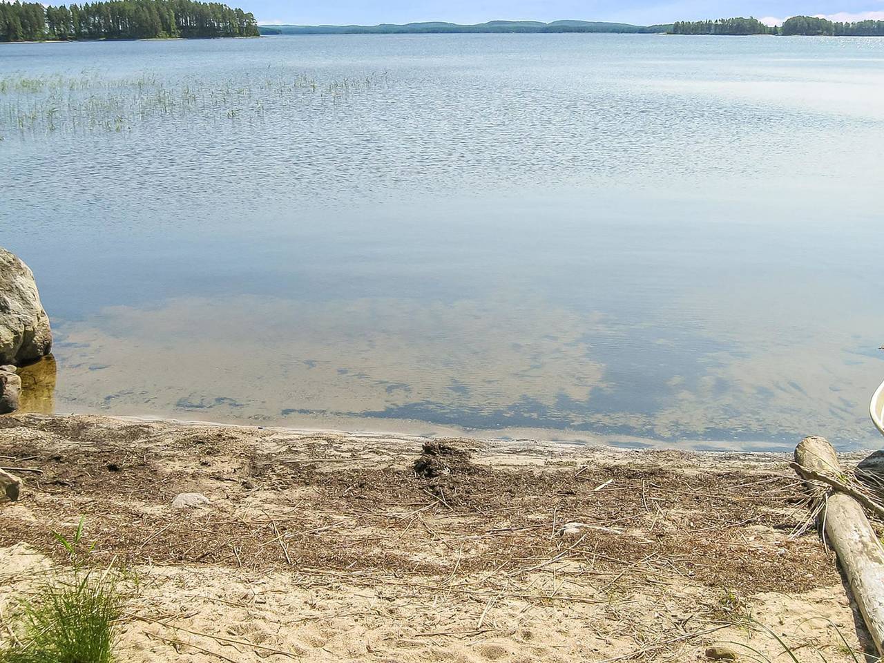 Kolin mesikämmen in Pielinen