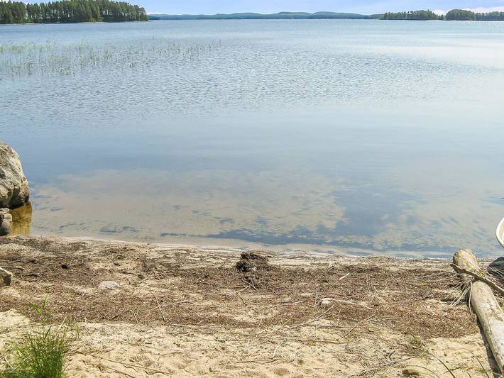 Kolin mesikämmen in Pielinen