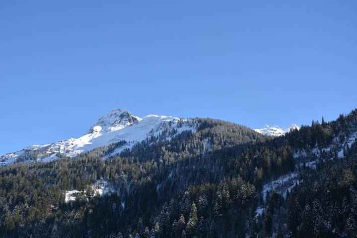 Ganze Ferienwohnung, Appartement/Fewo, Bad, Wc, 2 Schlafräume in Sonnenkopf, Dalaas