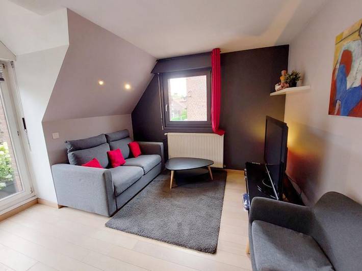 Apartamento entero, Apartamento wifi, mascotas permitidas, céntrico - 4 pers. in Villeneuve-d'Ascq, Lille region