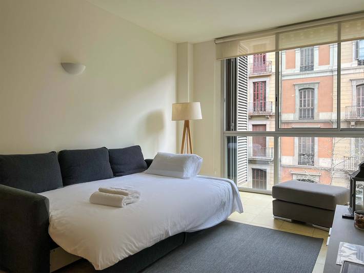 Vacation rental for 4 people, with terrace and pool in Barcelona