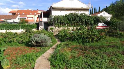 Apartament Wakacyjny dla 4 osoby w Miasto Korcula, Korčula, Zdjęcie 2