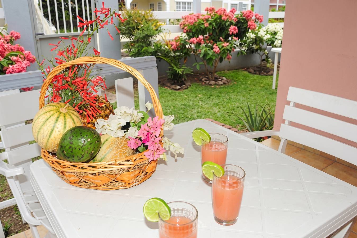 Ganze Wohnung, Gemütliche Wohnung in Sainte Anne, 30 m² mit Garten in Sainte-Anne, Martinique