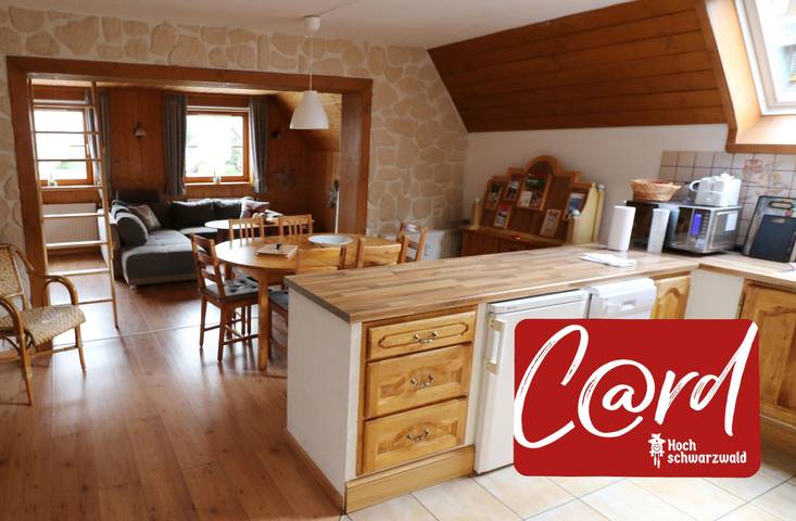 Ferienwohnung für 6 Personen, mit Balkon in Feldberg