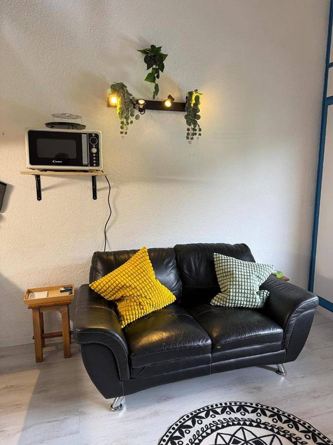 Gîte pour 4 personnes, avec balcon et vue, animaux acceptés à Viuz-en-Sallaz - 2