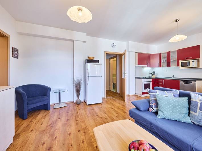 Apartament wakacyjny dla 4 osób, z balkon i widok, zwierzęta dozwolone w Rokytnice nad Jizerou