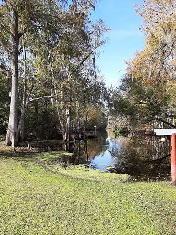 Cabin for 4 Guests in Hernando County, Picture 1