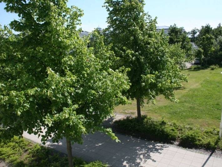 Ferienwohnung für 2 Personen, mit Balkon, kinderfreundlich in Sellin - 2