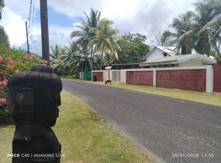 Gîte pour 2 personnes, avec terrasse dans Huahine - 3