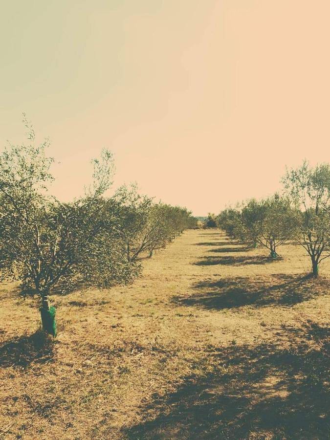 Maison d’hôte pour 3 personnes, avec jardin et vue à Lédenon - 3