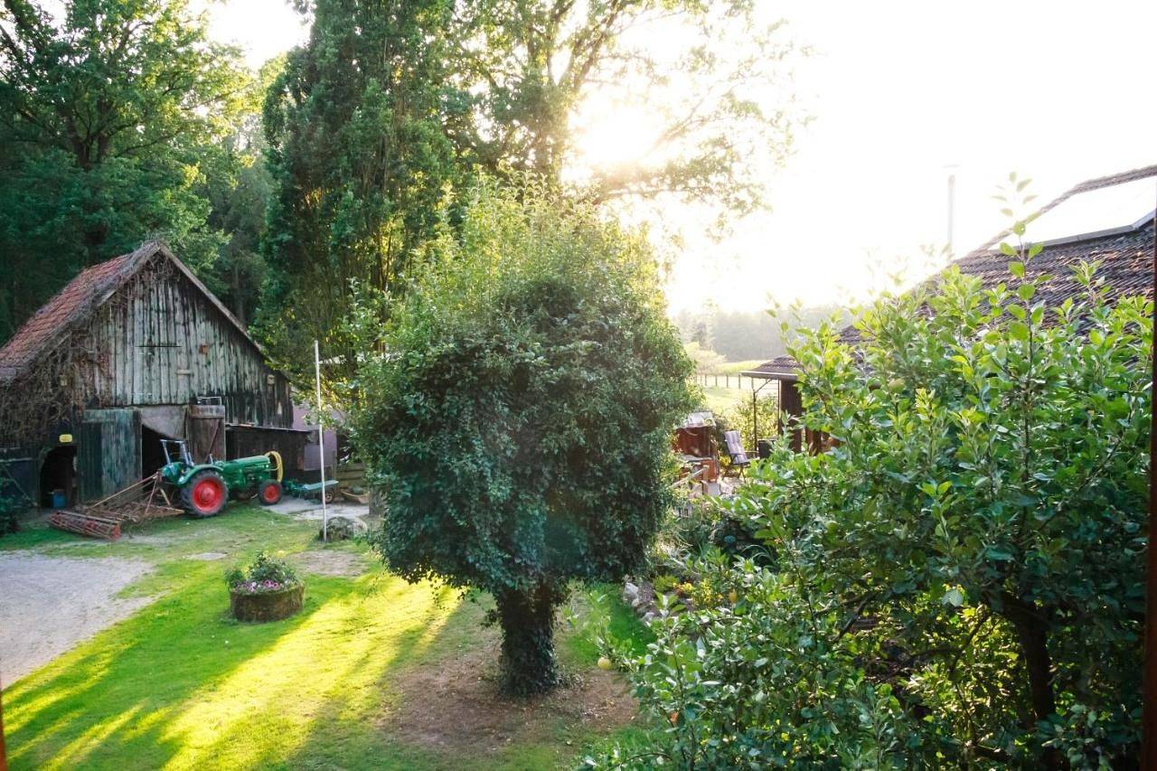 Two-Bedroom House in Bomlitz, Aller-Leine-Tal