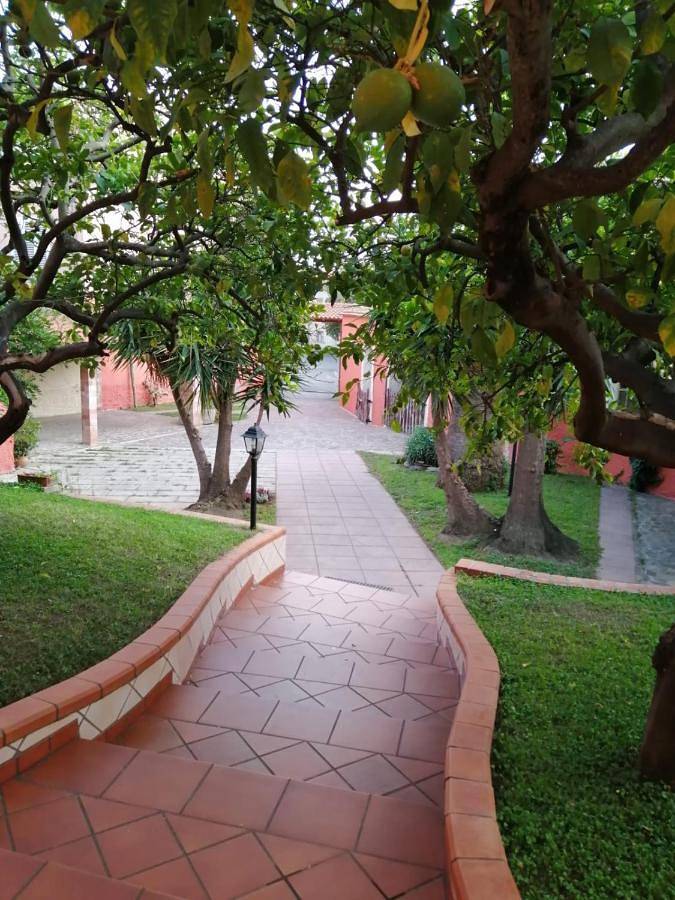 Gîte pour 2 personnes, avec jardin, animaux acceptés dans Dolianova - 4