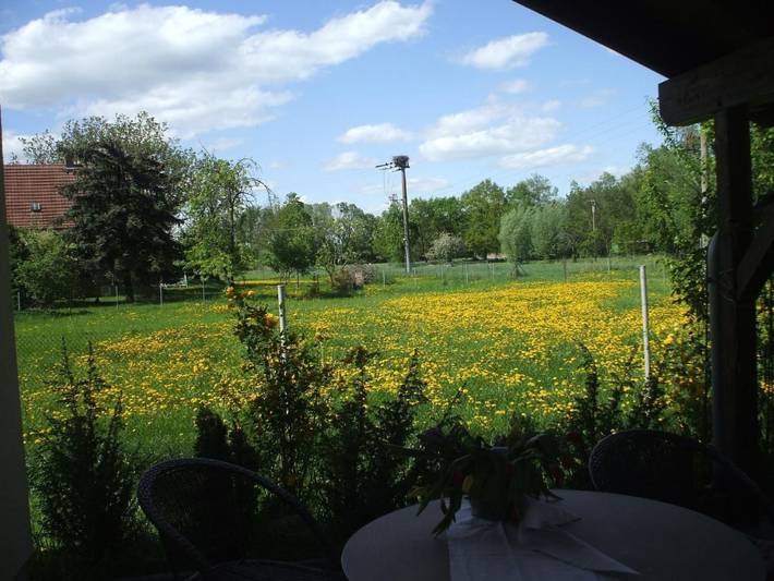 Ferienhaus für 4 Personen, mit Terrasse in Oderbruch - 3