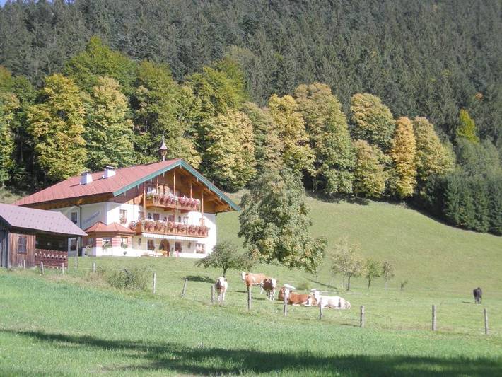 Ferienwohnung für 6 Personen, mit Balkon und Terrasse sowie Garten und Sauna in Faistenau - 2
