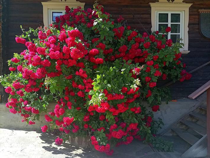 Ferienwohnung für 5 Personen, mit Balkon und Garten, kinderfreundlich in Osttirol - 4