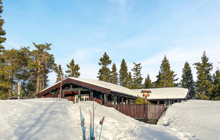 Ferienhaus für 8 Personen mit Sauna in Nissedal