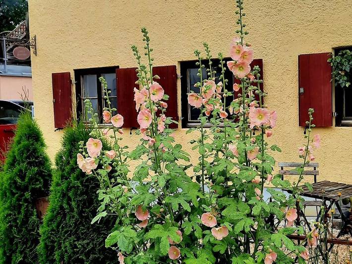 Ferienhaus für 4 Personen, mit Ausblick und Garten in Landsberg am Lech - 3
