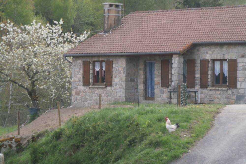 Hou...La Chouette Maison in Chanaleilles, Haute-Loire