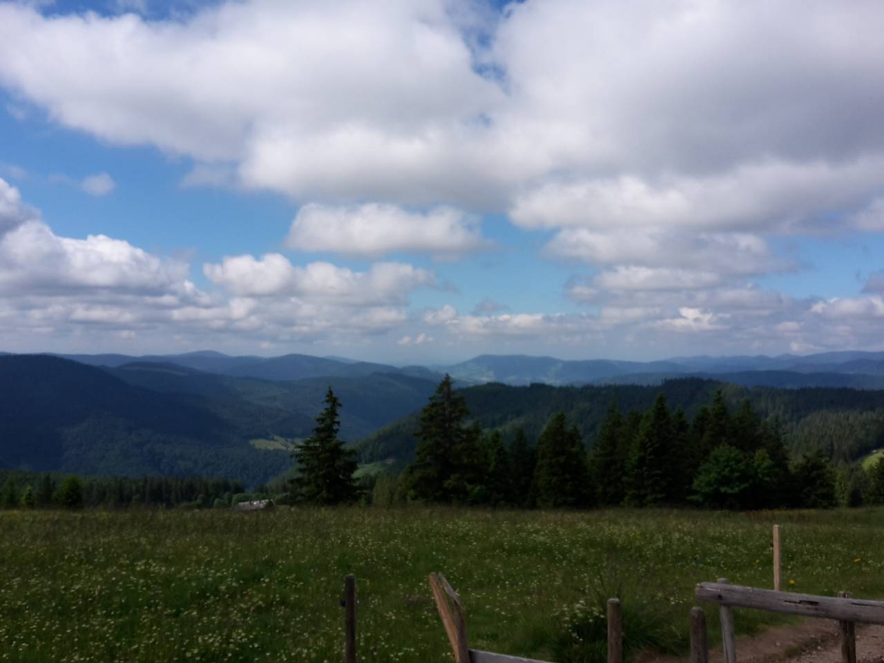 Hotel Gasthaus Hirschen - Einzelzimmer, 14qm, Dusche/Wc, teilweise mit Balkon in Todtnau, Südschwarzwald