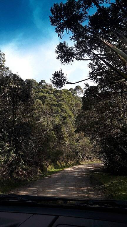 Eco Refuge Cambará. in Bom Retiro (SC), Santa Catarina