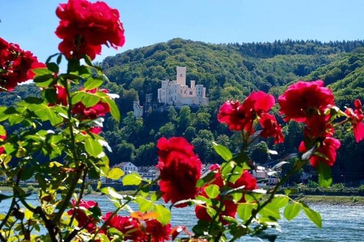 Ferienwohnung für 5 Personen, mit Terrasse und Garten in Lahr (Rheinland-Pfalz)
