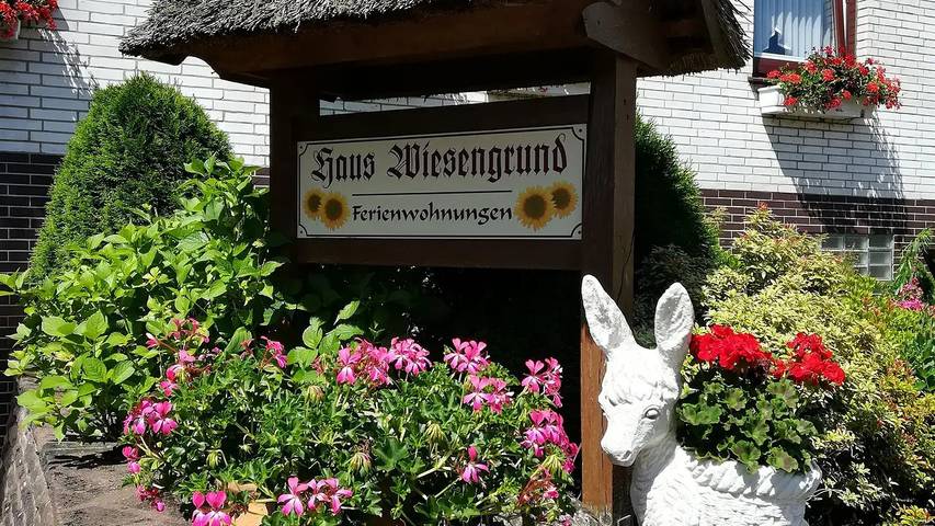 Ferienwohnung für 6 Personen, mit Terrasse und Garten in Bispingen - 4